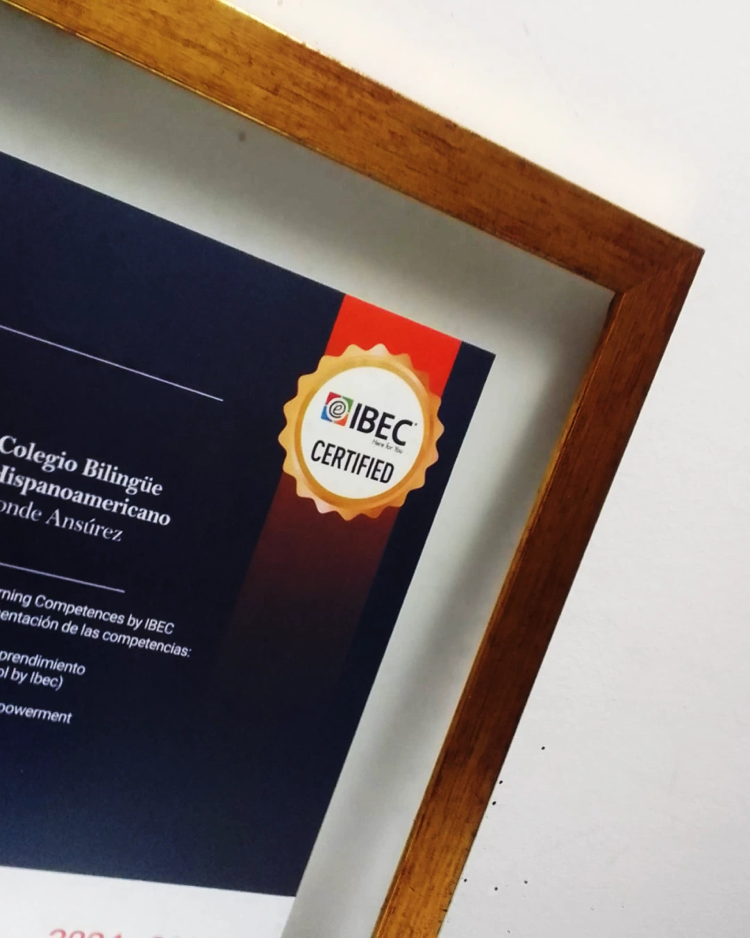 marcos para certificados